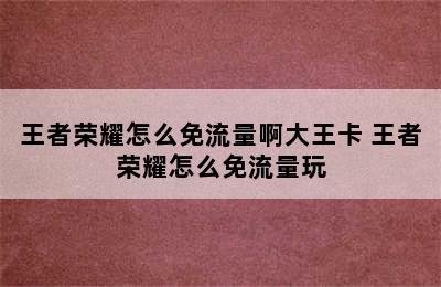 王者荣耀怎么免流量啊大王卡 王者荣耀怎么免流量玩